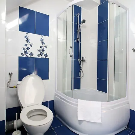 Pensjonat Casa Micu 2*